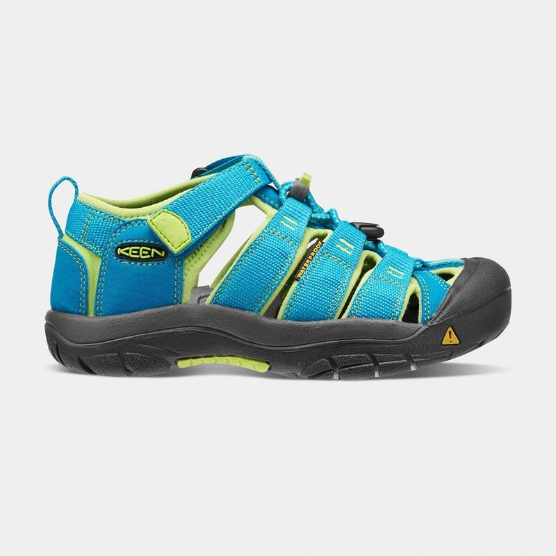 Sandalias Keen Newport H2 Para Niños Azules/Verdes - Sandalias Keen Mexico (234619-YVT)